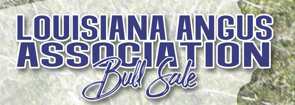 Louisiana Angus Bull Sale 2020a